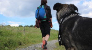 Šumavou ze Železné Rudy do Sušice 7/2016