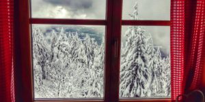 Šumava, Grosser Falkenstein – výstup za pivem a svařákem 1/2019