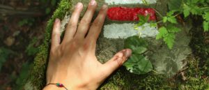 Jižní Čechy – nejkrásnější výlety