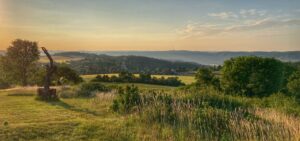 Český Kras – kde dávají lišky dobrou noc 6/2024